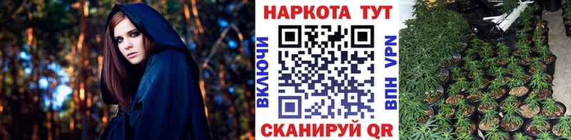 Где купить Сокол ГАШ Альфа ПВП Cocaine Галлюциногенные грибы гидра ссылки Меф мяу мяу МАРИХУАНА