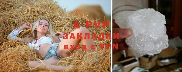 дмт Арсеньев