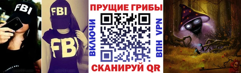 площадка как зайти  Сокол  Псилоцибиновые грибы мицелий 